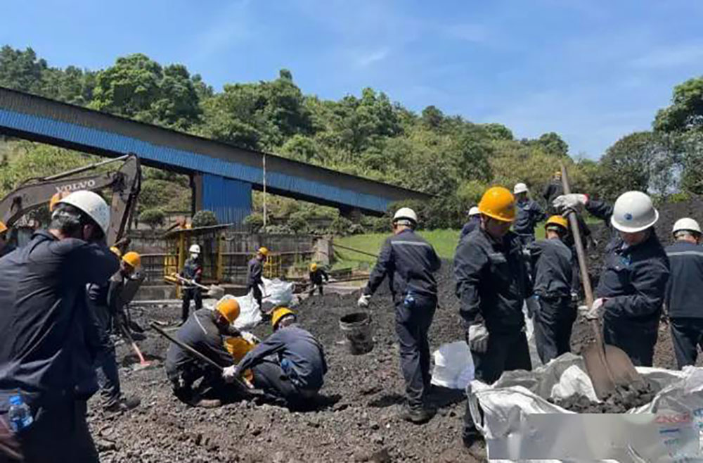 Movimiento de protección ambiental